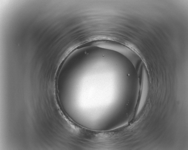 X0000066010898200603101553