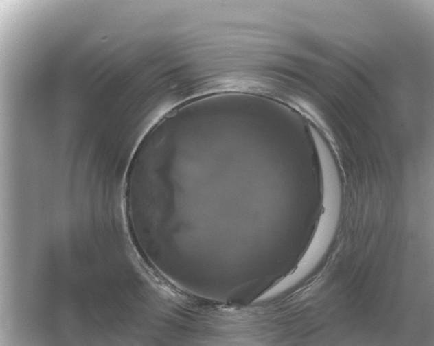 X0000066010899200603101553