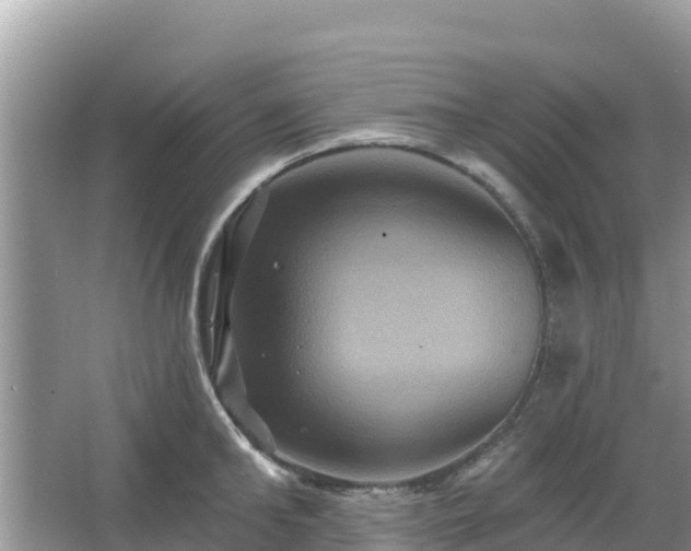 X0000066010902200603101553