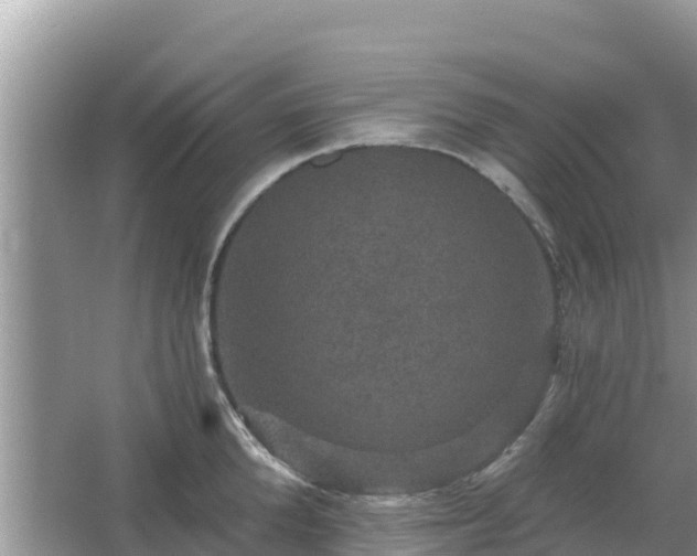 X0000066010904200603101553