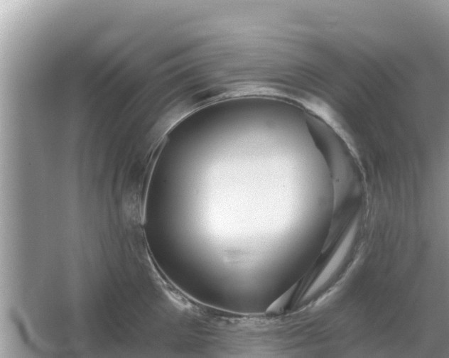 X0000066010905200603101553