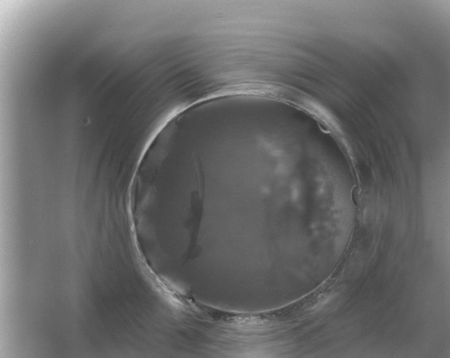 X0000066010907200603101553