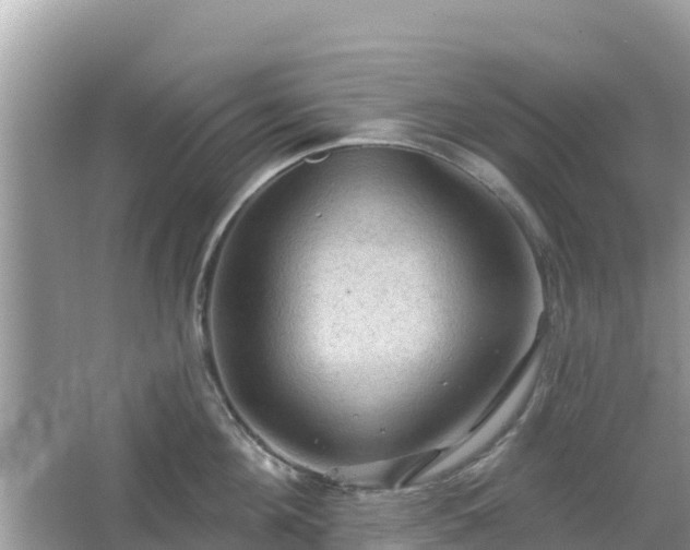 X0000066010908200603101553