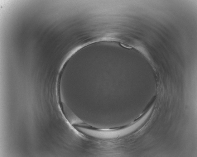 X0000066010910200603101553