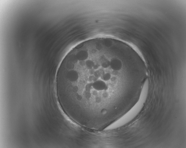 X0000066010911200603101553