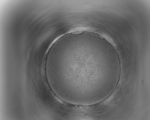 X0000066010912200603101553