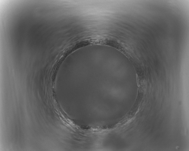 X0000066010913200603101552