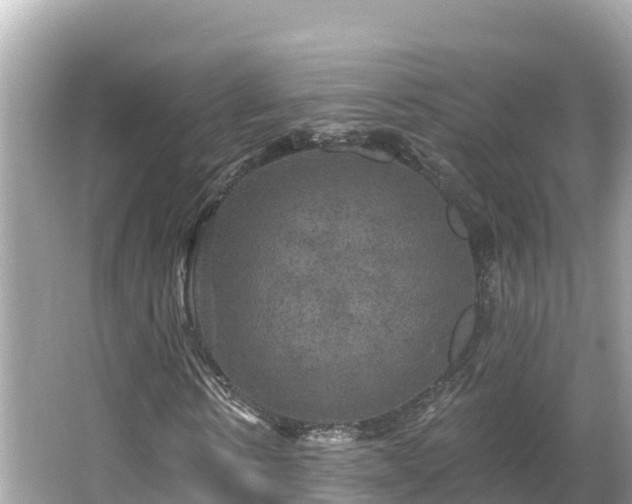 X0000066010914200603101552