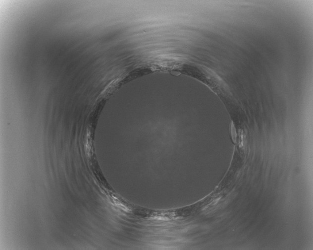 X0000066010915200603101552