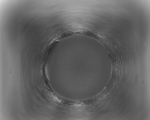 X0000066010916200603101552