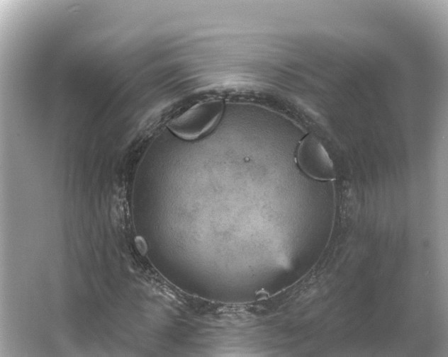 X0000066010918200603101552