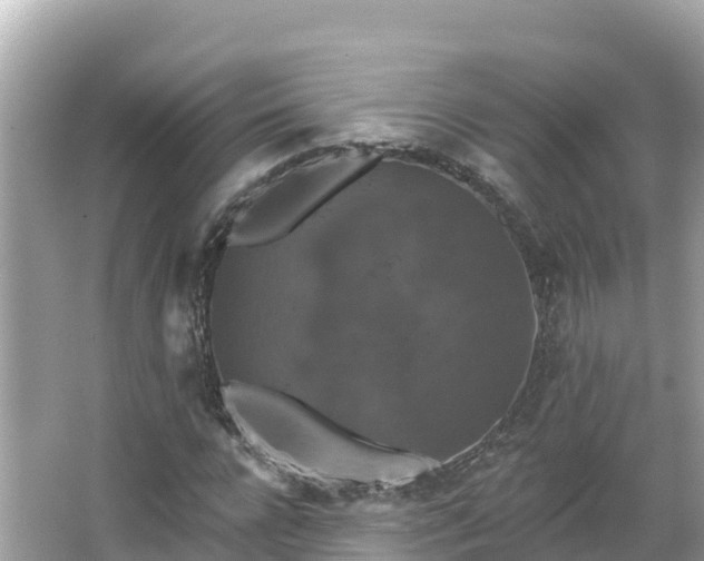 X0000066010920200603101552