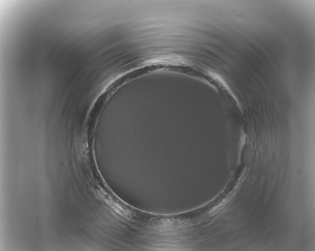 X0000066010923200603101553