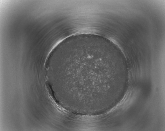 X0000066010925200603101553