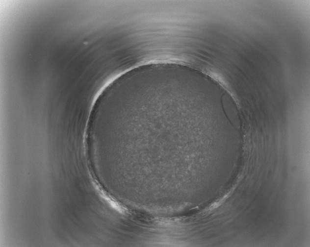 X0000066010928200603101553