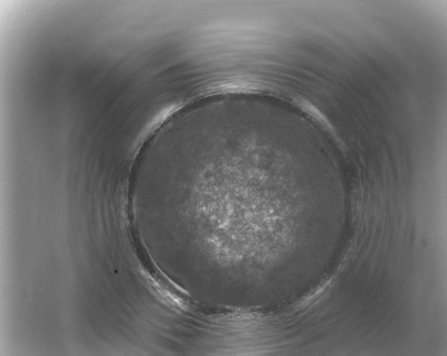 X0000066010930200603101553