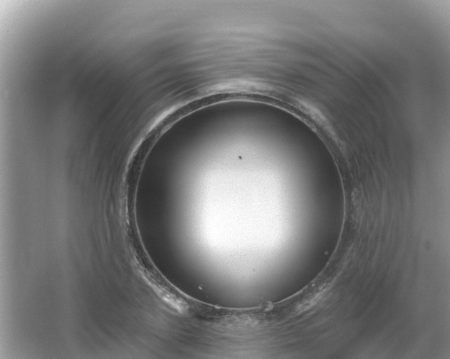 X0000066010931200603101553