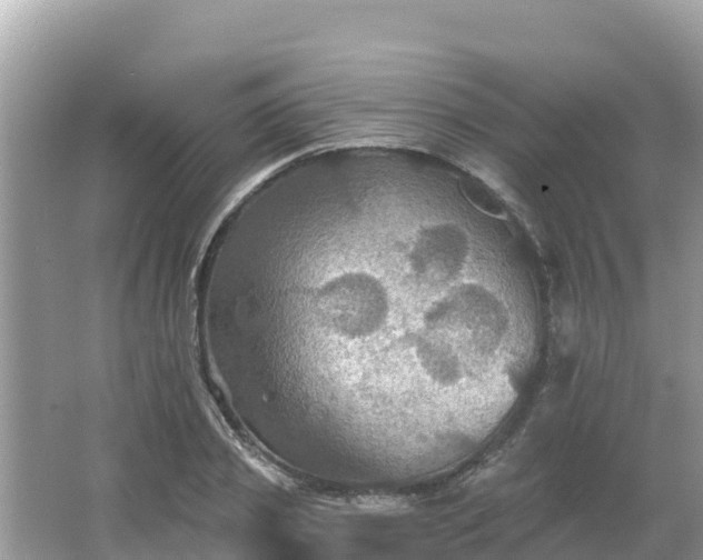 X0000066010933200603101553