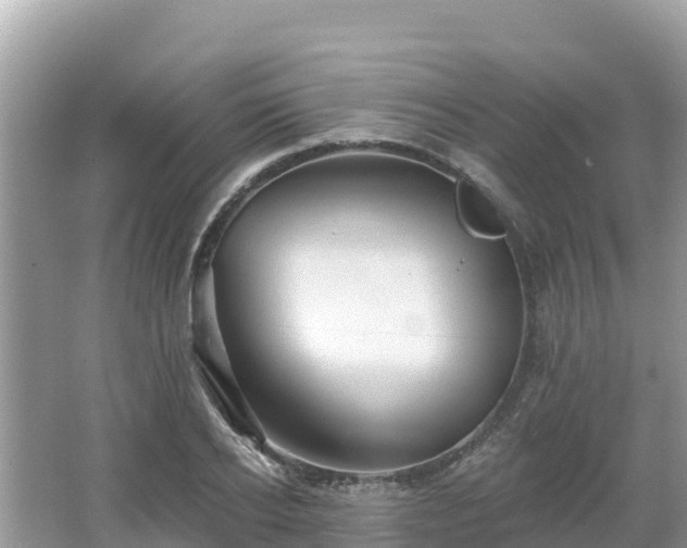 X0000066010934200603101553