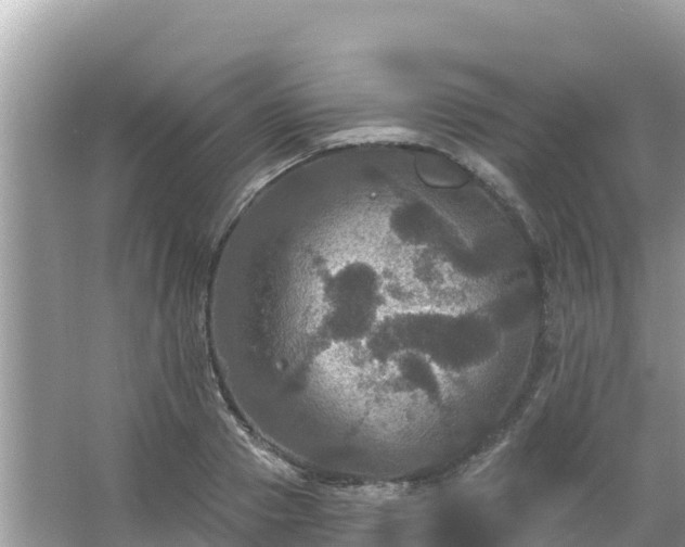 X0000066010937200603101553