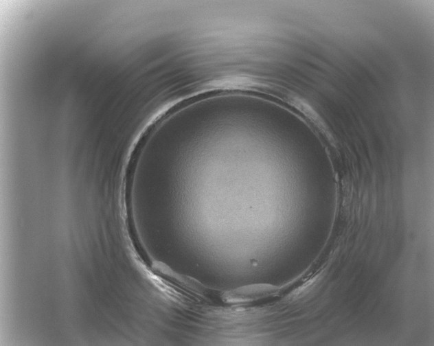 X0000066010939200603101553