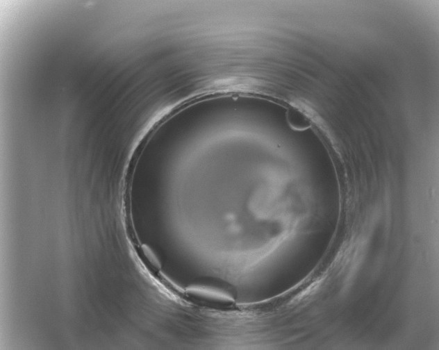 X0000066010941200603101553