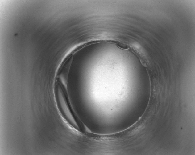 X0000066010942200603101553