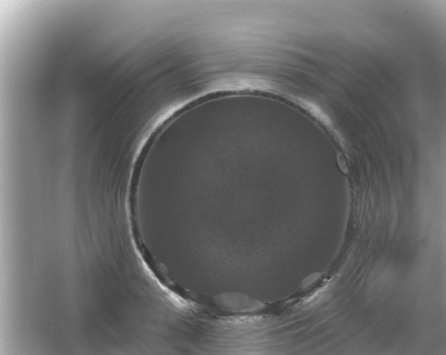 X0000066010943200603101553