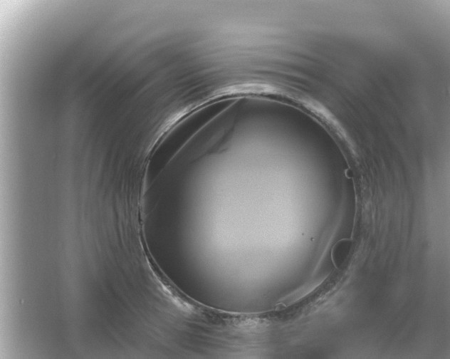 X0000066010945200603101553