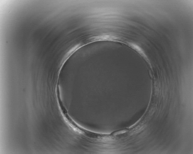 X0000066010946200603101553