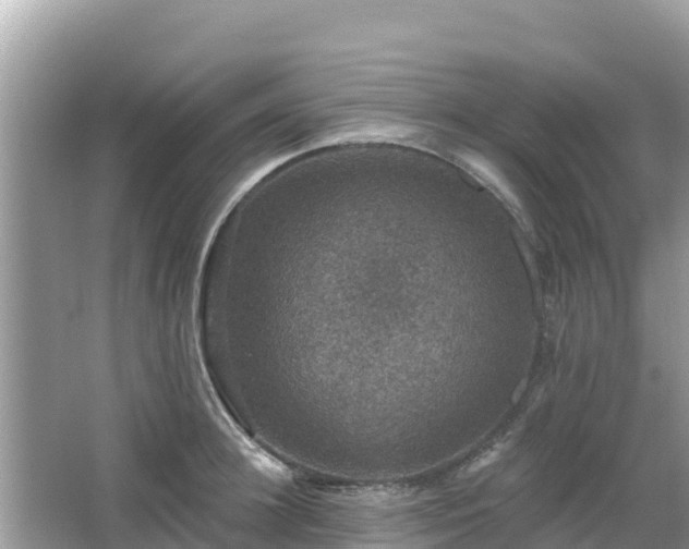 X0000066010948200603101553