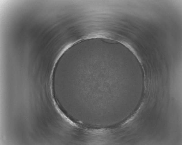 X0000066010949200603101553