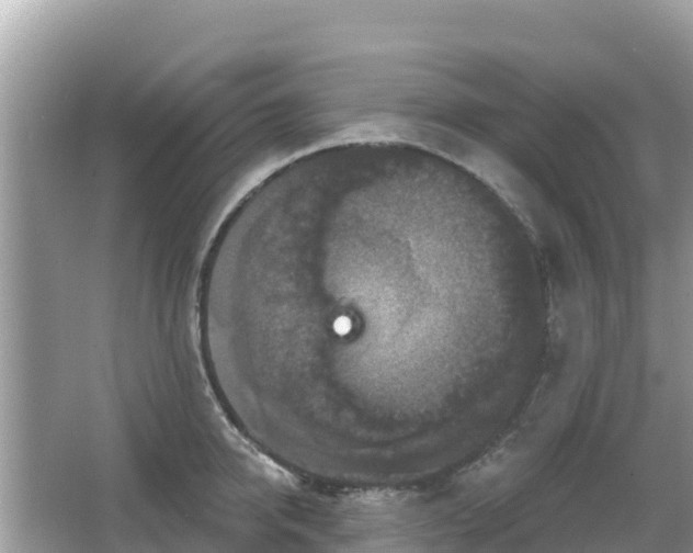 X0000066010950200603101553