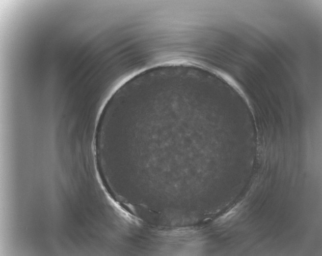 X0000066010951200603101553