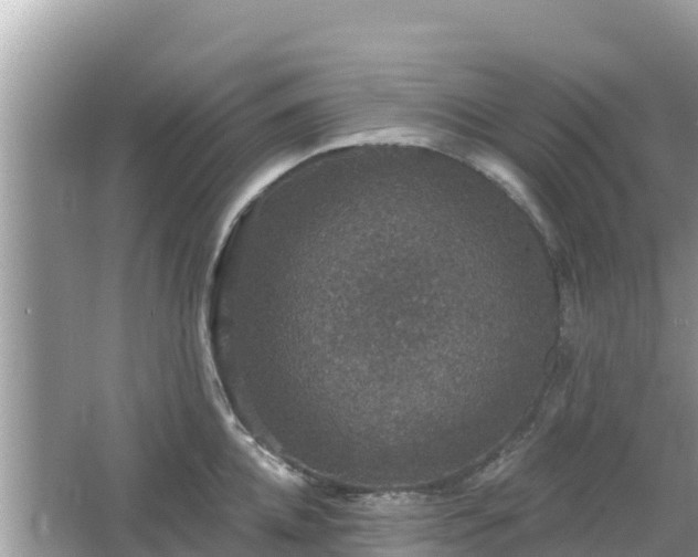 X0000066010952200603101553