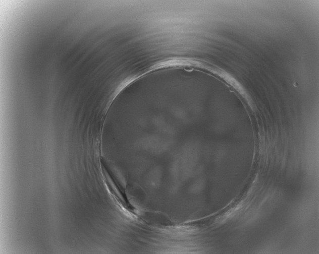 X0000066010953200603101553