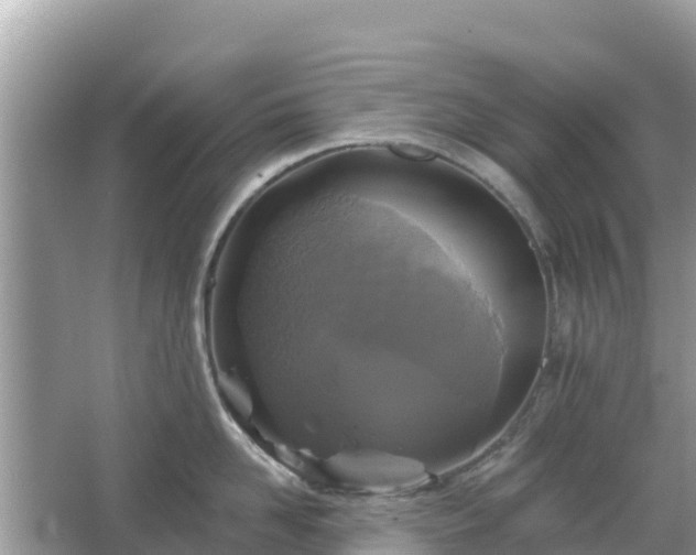 X0000066010958200603101553