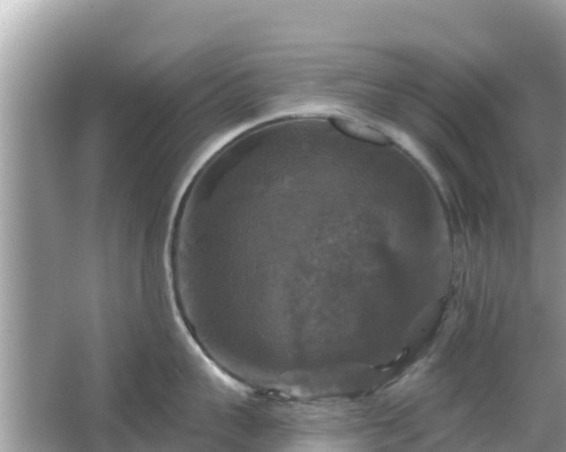 X0000066010959200603101553