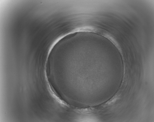 X0000066010960200603101553