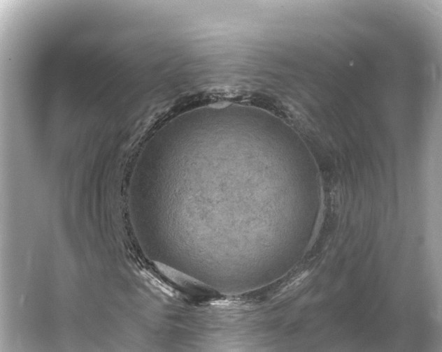 X0000066010961200603101552