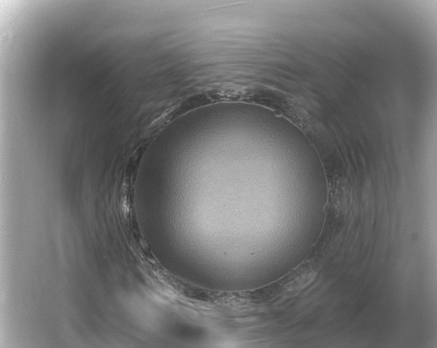 X0000066010962200603101552