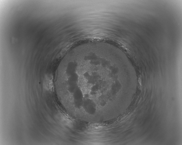 X0000066010963200603101552