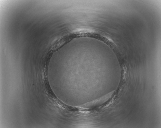 X0000066010965200603101552