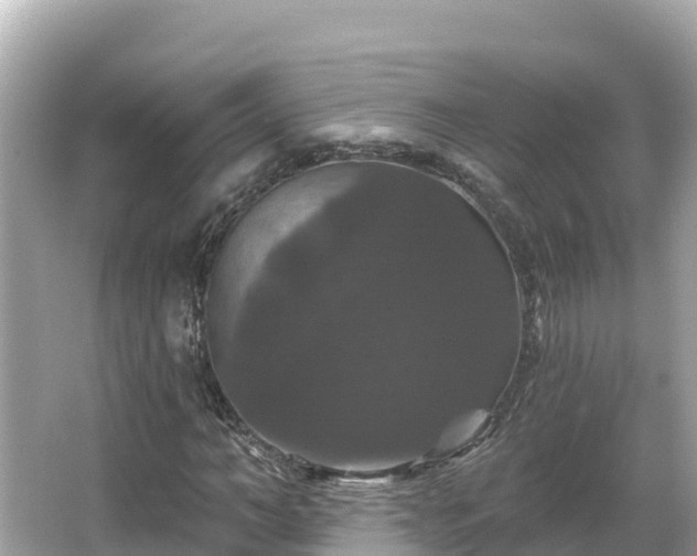 X0000066010966200603101552