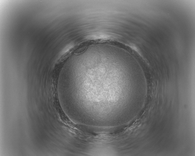 X0000066010967200603101552