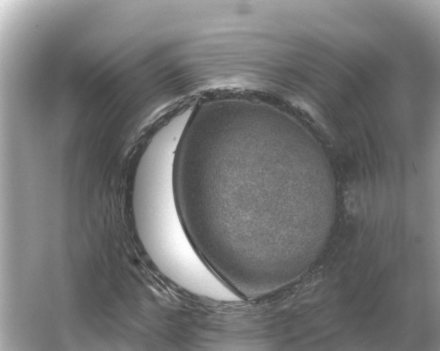 X0000066010968200603101552