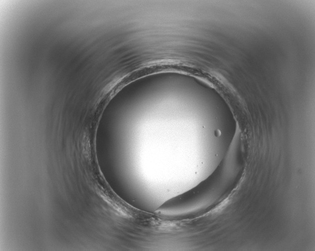 X0000066010969200603101552