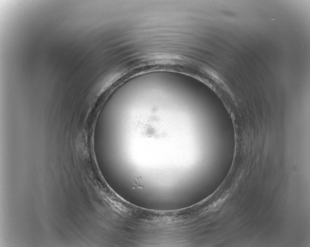 X0000066010970200603101552