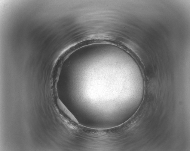 X0000066010971200603101552