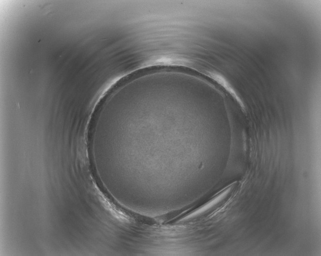 X0000066010972200603101552